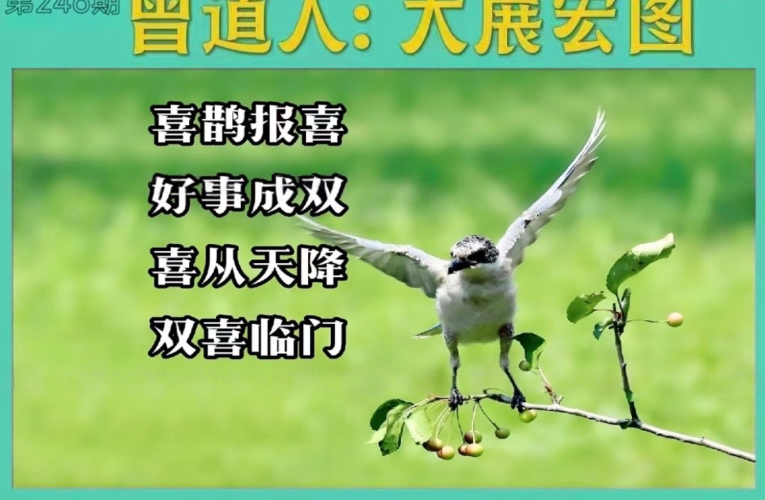 eraser_20250903H45752260.jpeg